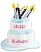 Happy Birthday Hat
