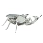 Rhino Beetle Model Kit