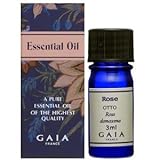 最も美しい女性