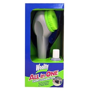 Woolite All in One Carpet Cleaning Tool