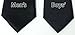 Spring Notion Boys' Satin Zipper Necktie with Gift Box Black Medium