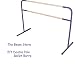 Sporting Goods : Purple 5ft Double Pole Ballet Barre