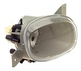 OES Genuine Fog Light