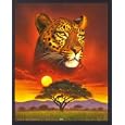 Big Cats Mini Poster and Frame (Aluminium) - Leopard (20 x 16 inches)