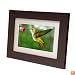 Smartparts SP72 7-Inch Digital Picture Wood Frame with Beige Matting (Espresso)