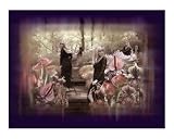 Toxic Garden-Tribute to Stevie Nicks Photographic Poster Print by Anna Maria Miller, 16x20