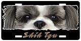 Shih Tzu #4 