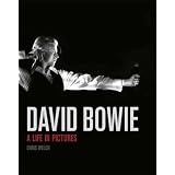 David Bowie : une vie en imagespar Chris Welch