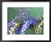 Protein-Dna Interaction Framed Art Poster Print by Jacob Halaska, 22x18