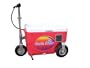 Cruzin Cooler 50-Series 300-Watt Electric Scooter (Red)