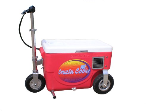 Cruzin Cooler 50-Series 300-Watt Electric Scooter (Red)