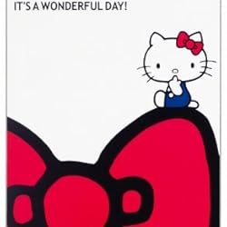 FUJICOLOR ディズニー CD・DVDアルバム40 キティ・リボン CDファイル 40枚収納 19518