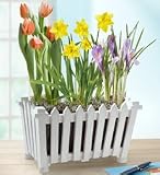 Plants - Plants by 1800Flowers - Welcome Spring Garden