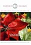 Flowers for the Holidays