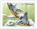 Songbirds in Snow Forever First Class Postage Stamps (20 Stamps) - United States Postal Service