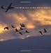 Amazon price tracker, Amazon price history charts, The Man Who Flies With Birds (Israel)