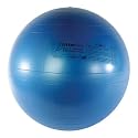 Fitter Fitness Ball null
