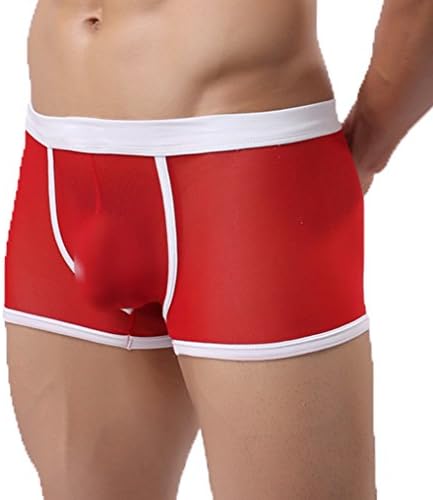 Men's Sexy Mesh Ultra Thin Sheer Transparent Underwear Sexy Panties Briefs