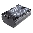 DHSHOP Digital Camera Battery LP-E6 for Canon EOS 5D Mark-II EOS 7D DHSHOP Digital Camera Battery LP-E6 for Canon EOS 5D Mark-II EOS 7D