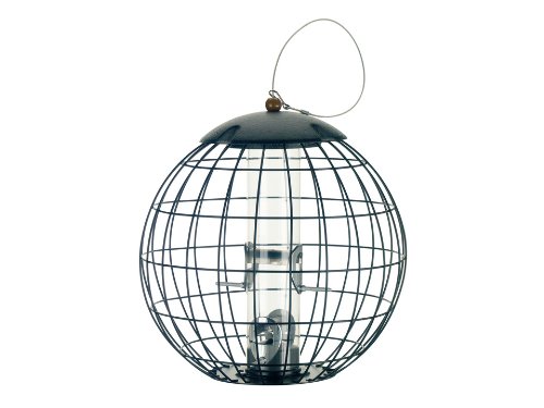 Squirrel Proof Seed Feeder