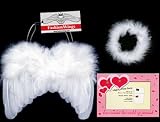 FashionWings Feather Angel Wings Photo Props for Newborn 0-6mo Baby Bonus Photo Frame