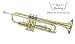 RS Berkeley UTR180 Student Trumpet
