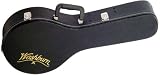 Musical Instruments : Washburn MC90 Mandolin Case