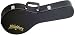 Musical Instruments : Washburn MC90 Mandolin Case