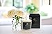 NaturoHealth Grapefruit Scented Soy Candle with Organic Soy Wax Aromatherapy Candles