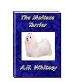 The Maltese Terrier