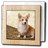 Dogs Corgi - Pembroke Welsh Corgi - Tile Napkin Holders