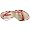 Nine West Women's Accolia Slingback Sandal