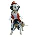 Cowboy Pet Costume - M