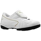 Puma Men's Esito III Pro IT Indoor
