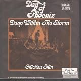 DEEP WITHIN THE STORM 7 INCH (7