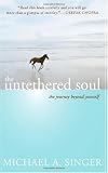 The Untethered Soul: The Journey Beyond Yourself