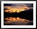 Sunset Over Lagoons of Cuyabeno in the Ecuadorian Amazon Basin, Cuyabeno Fauna Reserve, Ecuador Styles Framed Art Poster Print by Alfredo Maiquez, 39x31