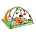Fisher-Price Rainforest Melodies & Lights Deluxe Gym