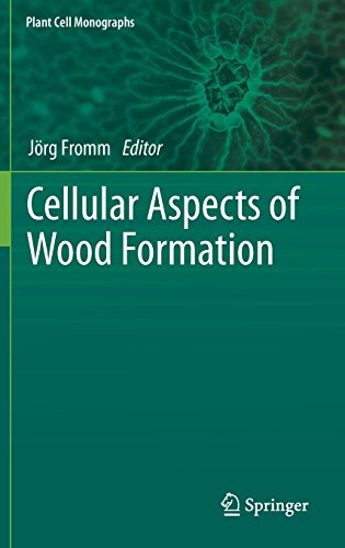 Cellular Aspects of Wood Formation (Plant Cell Monographs)