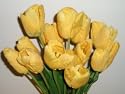Colorful Yellow Tulips (12 Stem)