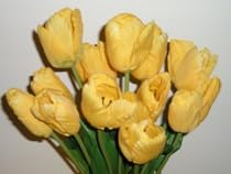 Colorful Yellow Tulips (12 Stem)