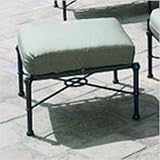 Delphi Ottoman w/ Cushion Finish: Chestnut Brown, Fabric: Augustine Raffia