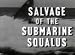 Submarine USS Squalus SS-192