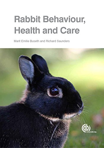 rabbit behaviour health and care