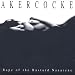 Akercocke-Rape of the Bastard Nazarene cd cover