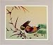 Mandarin Duck Love Birds Woven Picture
