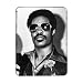 Singer Stevie - iPad Cover (Protective Sleeve) - Art247 - IPads 1 And 2