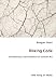 Risking Code - The Dilemmas and Possibilities of Software Art