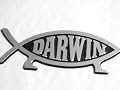DARWIN FISH EVOLUTION WALKING CAR and TRUCK NOVELTY EVOLVE NOW SERIES ROOM DECOR and AUTOMOTIVE BUMPER AND TRUNK LID STICKER EMBLEM