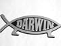 DARWIN FISH EVOLUTION WALKING CAR and TRUCK NOVELTY EVOLVE NOW SERIES ROOM DECOR and AUTOMOTIVE BUMPER AND TRUNK LID STICKER EMBLEM